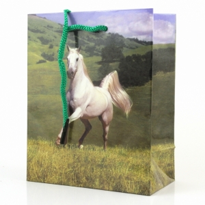 Papierová taška na darček 12x14cm