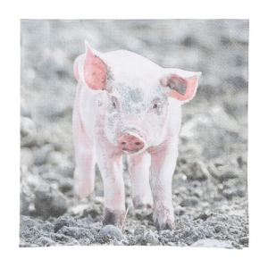 Papierové obrúsky s motívom 16,5x16,5cm 