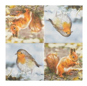 Papierové obrúsky s veveričkou a vtáčikom 33 x 33 cm balenie 20 ks