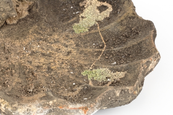 Napájadlo pre vtáčiky machový povrch 29,0x27,5x9,8cm