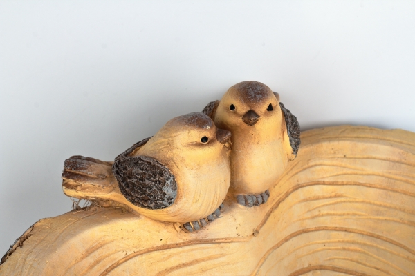 Napájadlo pre vtáčiky srdce