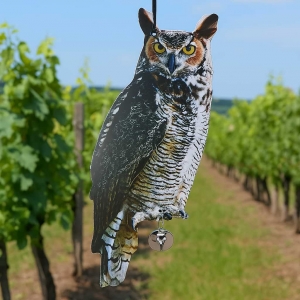 Plašič vtákov sova