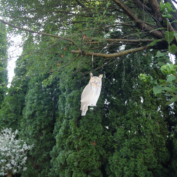 Plašič vtákov sova