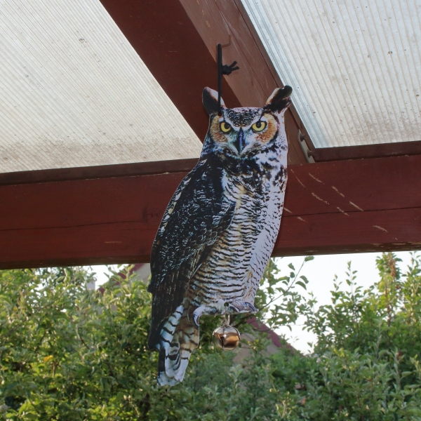 Plašič vtákov sova