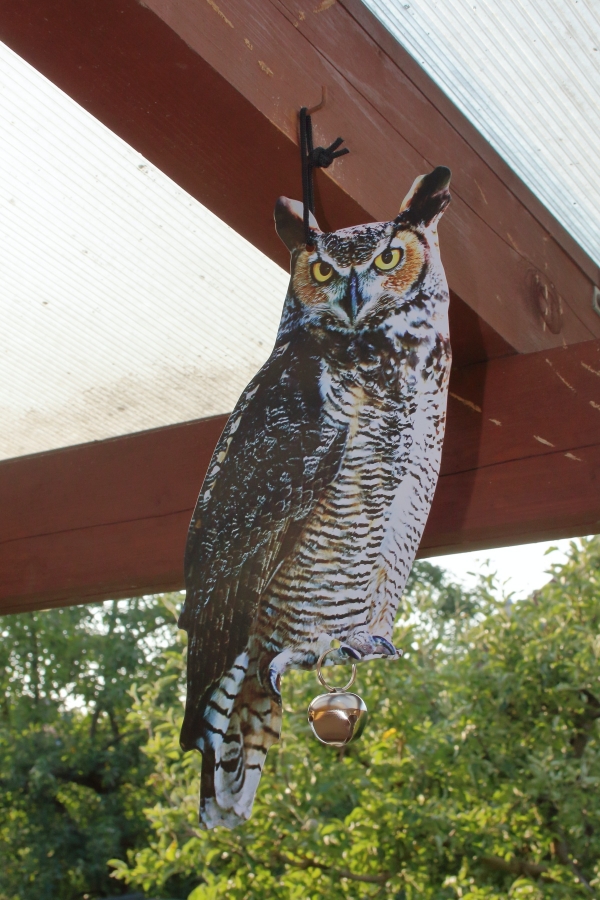 Plašič vtákov sova