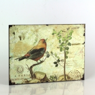 Plechová ceduľa červený vtáčik 19x27cm