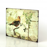 Plechová ceduľa červený vtáčik 19x27cm