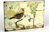 Plechová ceduľa červený vtáčik 19x27cm