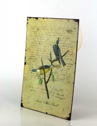 Plechová ceduľa dva modrí vtáčiky 19x27cm