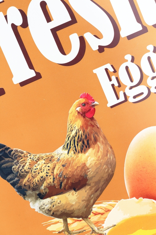 Plechová ceduľa so slepicou