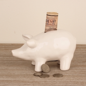 Pokladnička prasiatko 19x10x7cm