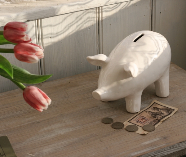 Pokladnička prasiatko 26x12x9cm