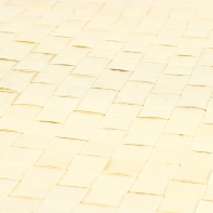 Prestieranie světlé 40x30cm