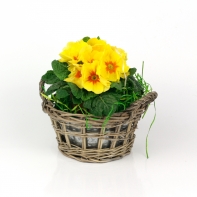 Prútený truhlík / kvetináč set 3ks