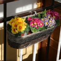 Prútený kvetináč na balkón 44cm