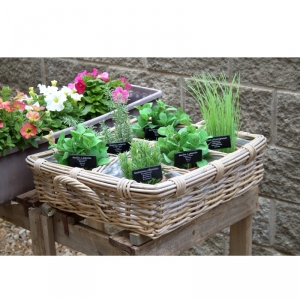 Prútený truhlík na bylinky s 6 priehradkami