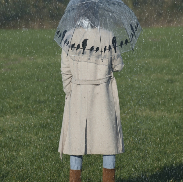 Priehľadný dáždnik s vtáčikmi 83x83x81,5cm