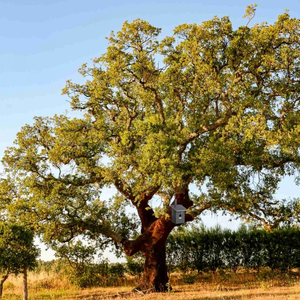 Vtáčia búdka 17,4x21,3x33cm tmavá