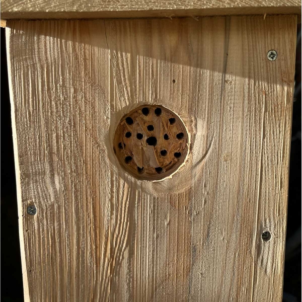 Vtáčia búdka pre žltú zelenú - veľká drevená