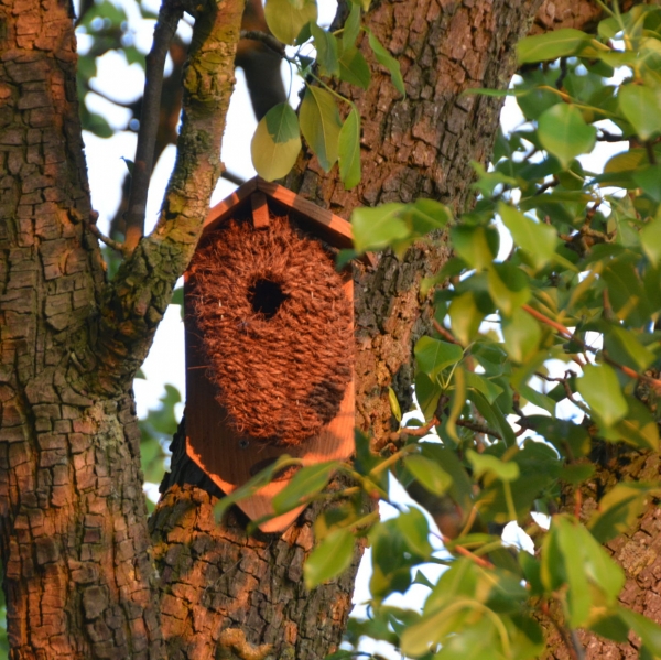 Vtáčia búdka z kokosových vlákien 15,2x10,2x26,2cm