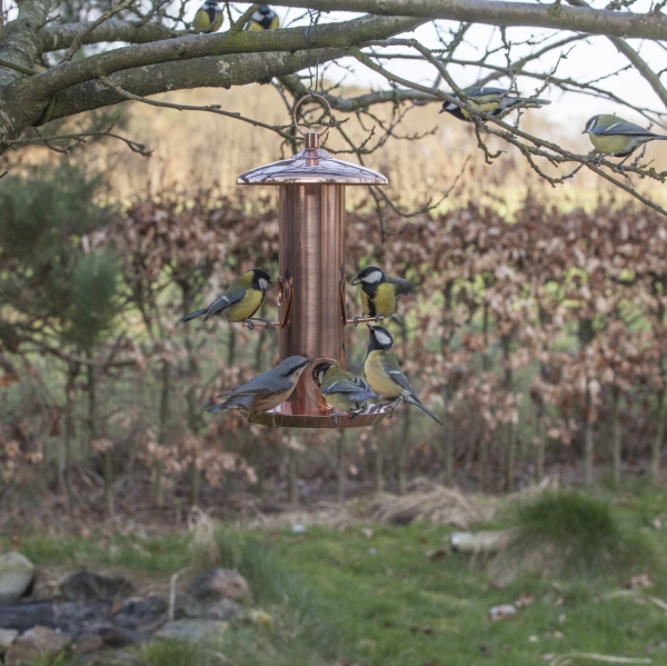 Vtáčie búdky a kŕmidlá pomedené