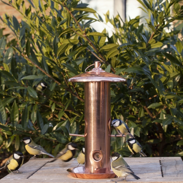 Vtáčie búdky a kŕmidlá pomedené