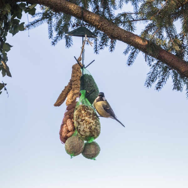 Vtáčie kŕmidlá na lojové gule s háčikmi v tmavo zelenej