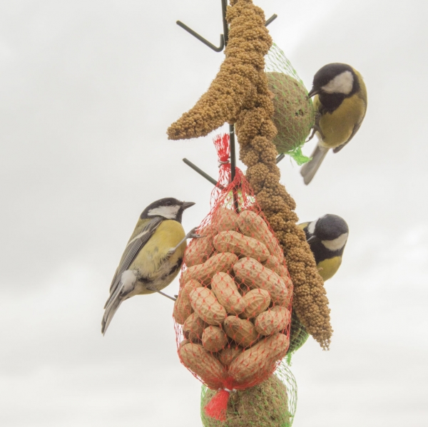Vtáčie kŕmidlá na lojové gule s háčikmi v tmavo zelenej