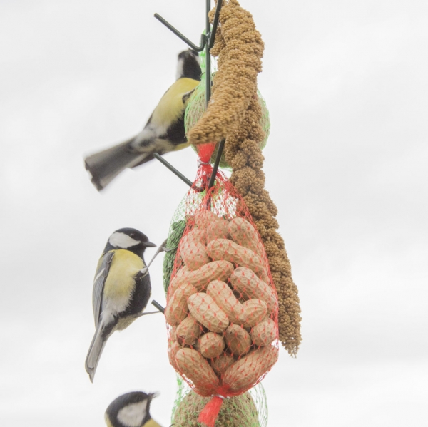 Vtáčie kŕmidlá na lojové gule s háčikmi v tmavo zelenej