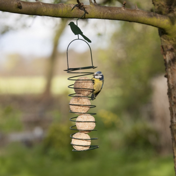 Vtáčie kŕmidlá na záhradu