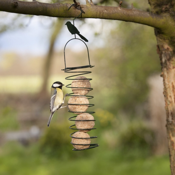 Vtáčie kŕmidlá na záhradu