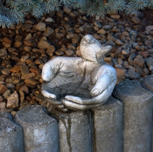 Vtáčie pítko dlaň 21x21x20cm