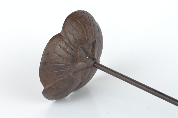 Vtáčie pítko Vlčí mak 75cm