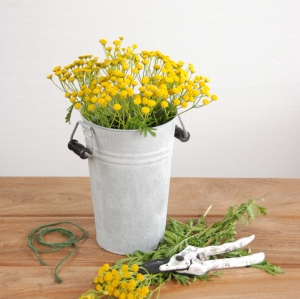 Retro kvetináč s ušami zinok