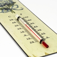 Retro teplomer nástenný hortenzie 9x25cm