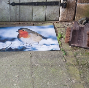 Rohožka 76 x 45 cm s vtáčikom