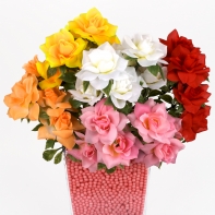 Šípová rozvitá žltá ruža - zväzok