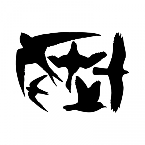 Samolepky na sklo proti vtákom