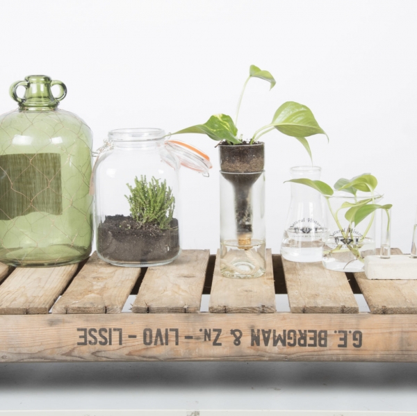 Samozavlažovací systém pěstírna