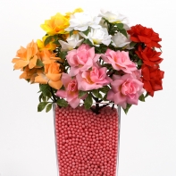 Šípová rozvitá oranžová ruža - zväzok