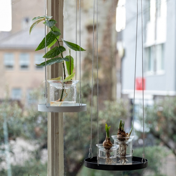 Sklenená vázička na množenie rastlín 0,28L