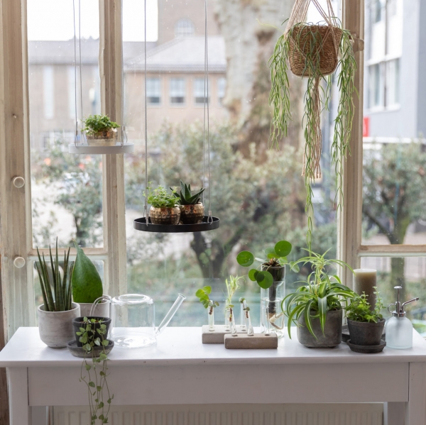 Sklenené skúmavky na kvety v betónovom podstavci