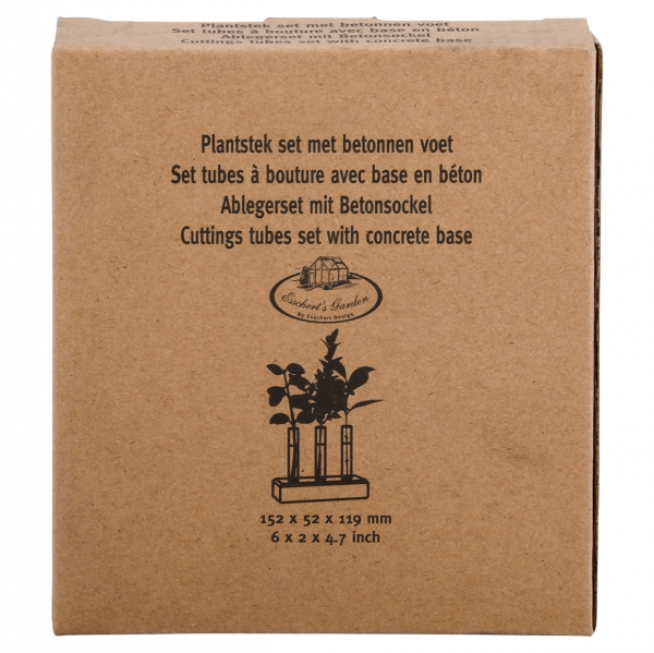 Sklenené skúmavky na kvety v betónovom podstavci