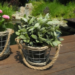 Sklenený kvetináč so závesným uchom 14x11cm