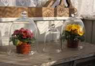 Sklenený poklop GARDEN biely nápis 24cm