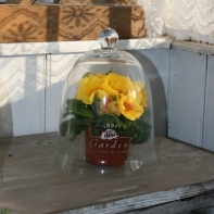 Sklenený poklop GARDEN biely nápis 24cm