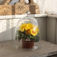 Sklenený poklop GARDEN biely nápis veľký