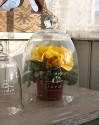 Sklenený poklop GARDEN biely nápis veľký