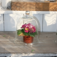 Sklenený poklop GARDEN - čierny