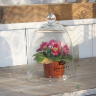 Sklenený poklop GARDEN - čierny